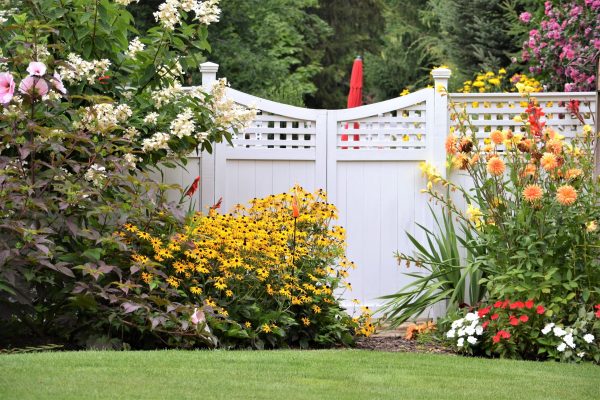 colorful-flower-garden-against-a-white-fence-2025-01-09-00-28-19-utc