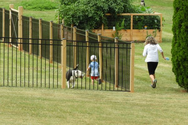little-boy-his-dog-and-mom-running-a-race-in-thei-2024-10-16-17-05-20-utc